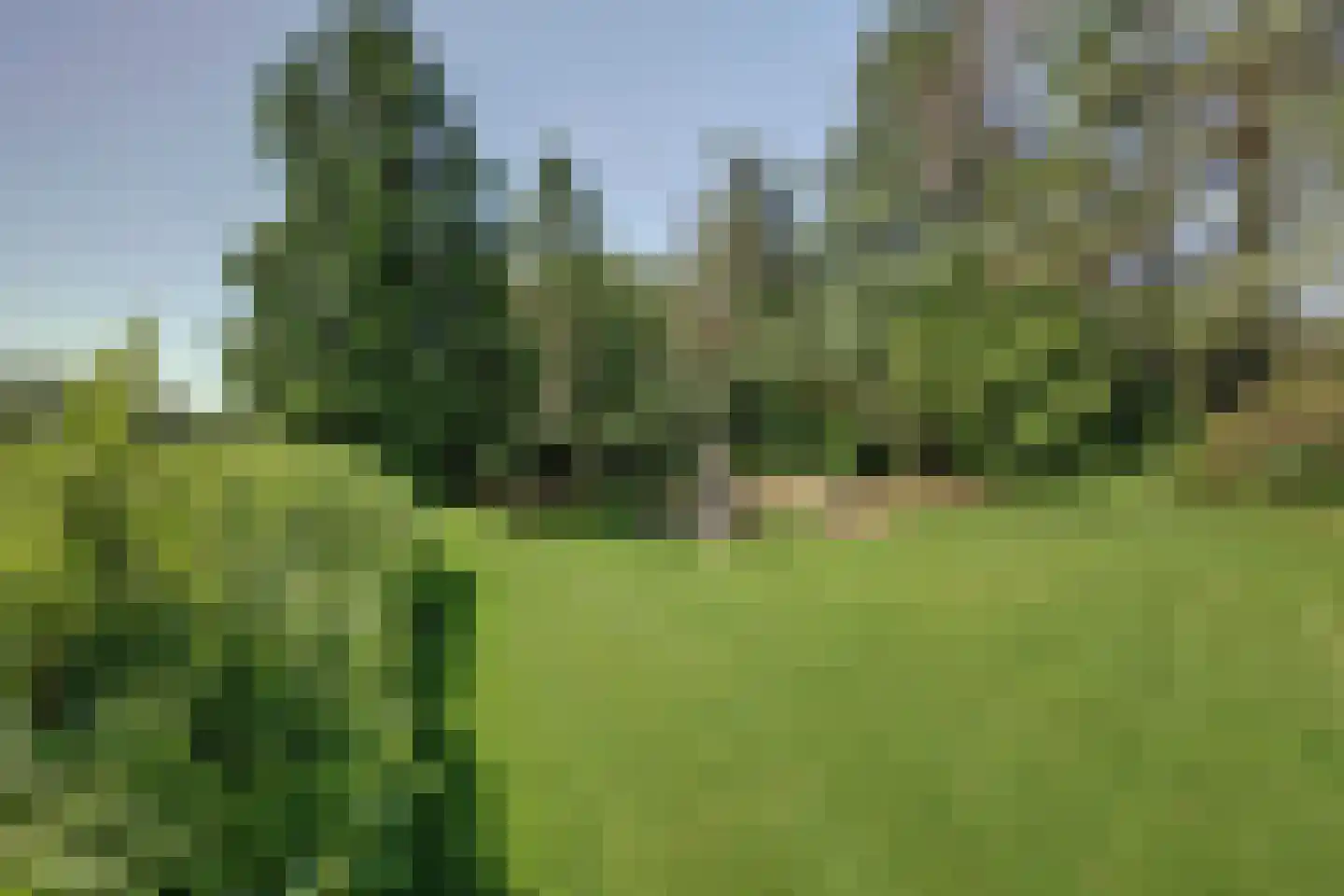 Toldijk 1 Laren thumbnail 4