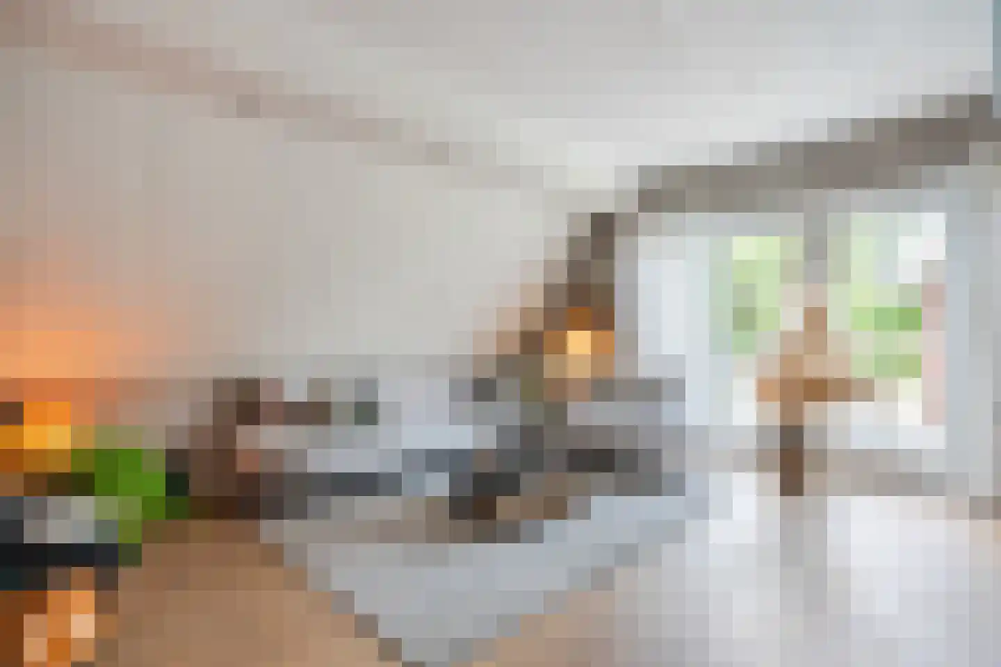 Toldijk 14 Hoogeveen thumbnail 13