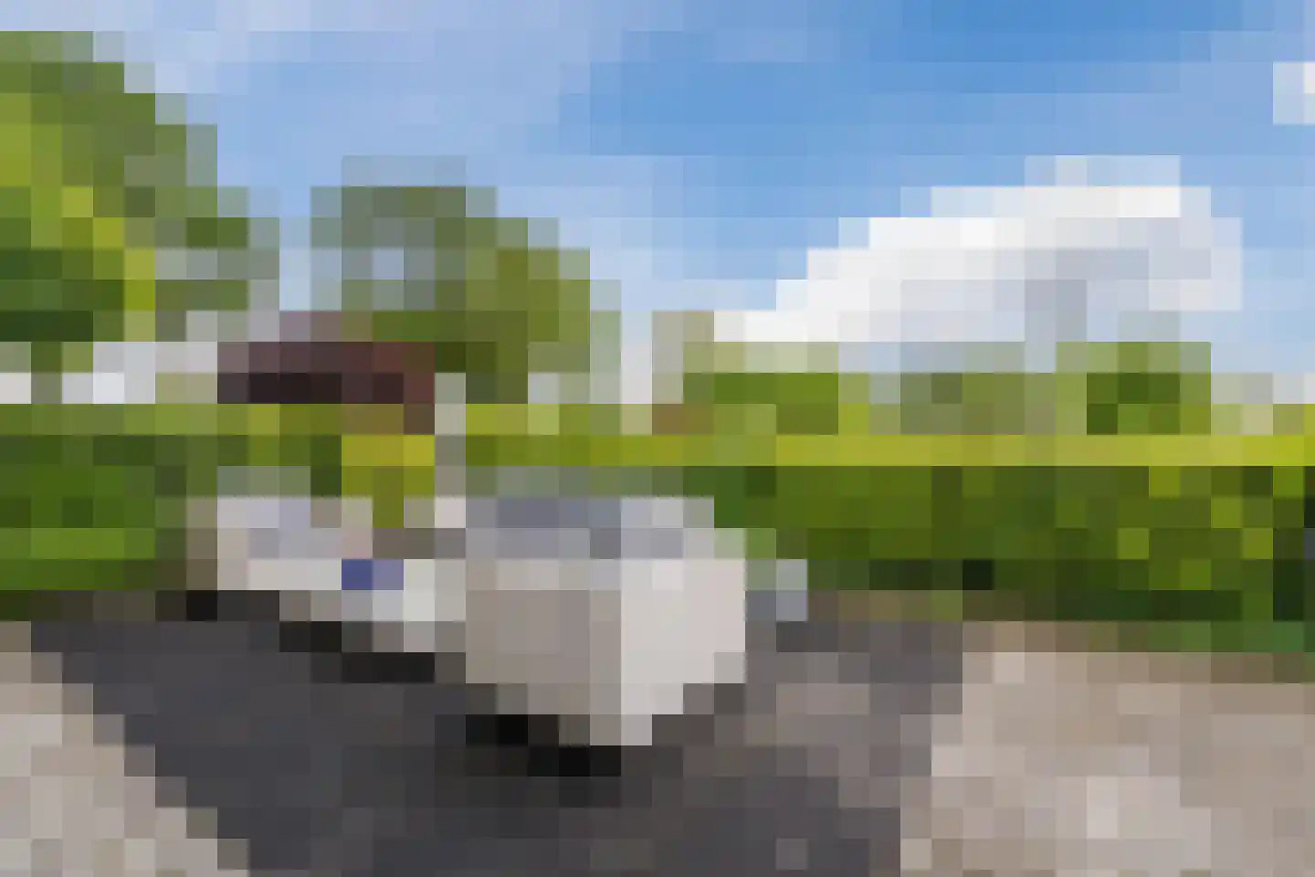 Toldijk 14 Hoogeveen thumbnail 62