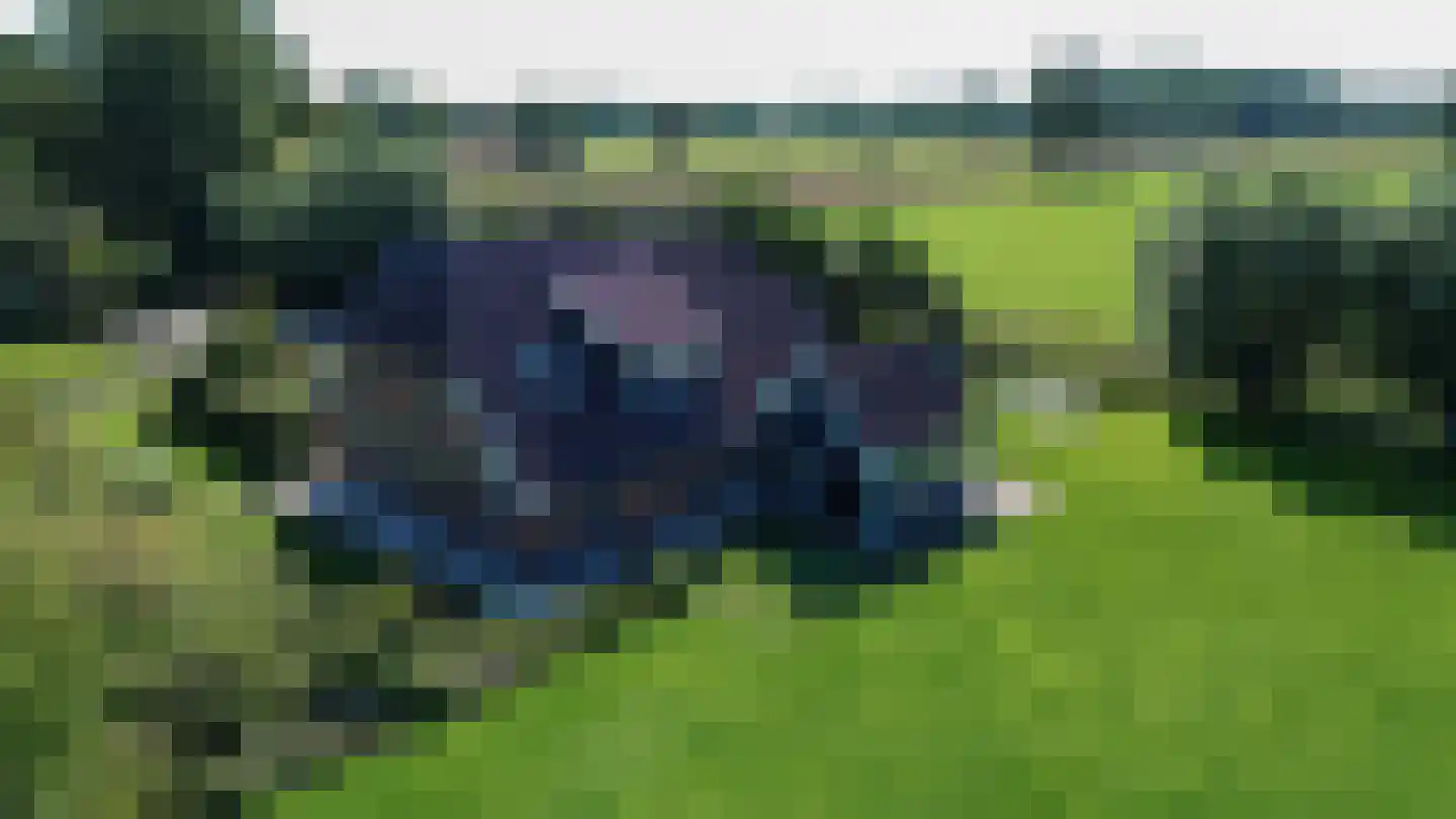 Toldijk 14 Silvolde thumbnail 5