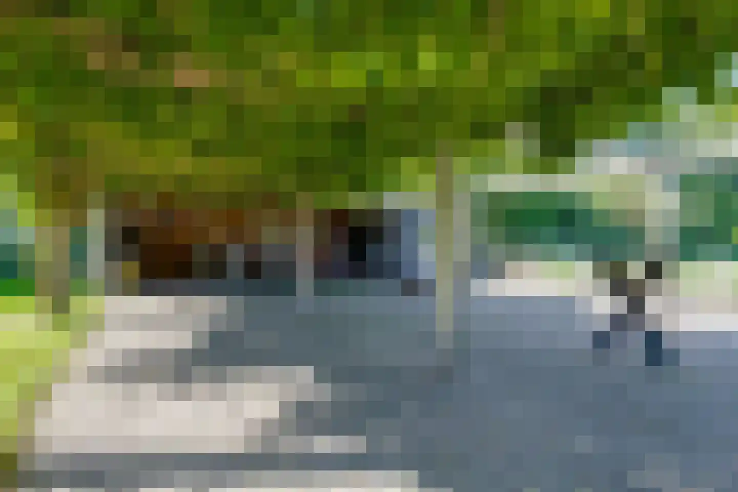Toldijk 14 Silvolde thumbnail 53