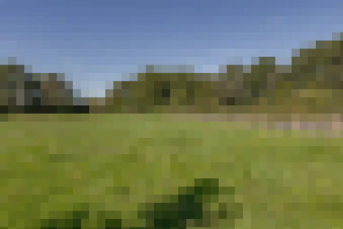 Toldijk 14 Silvolde thumbnail 62