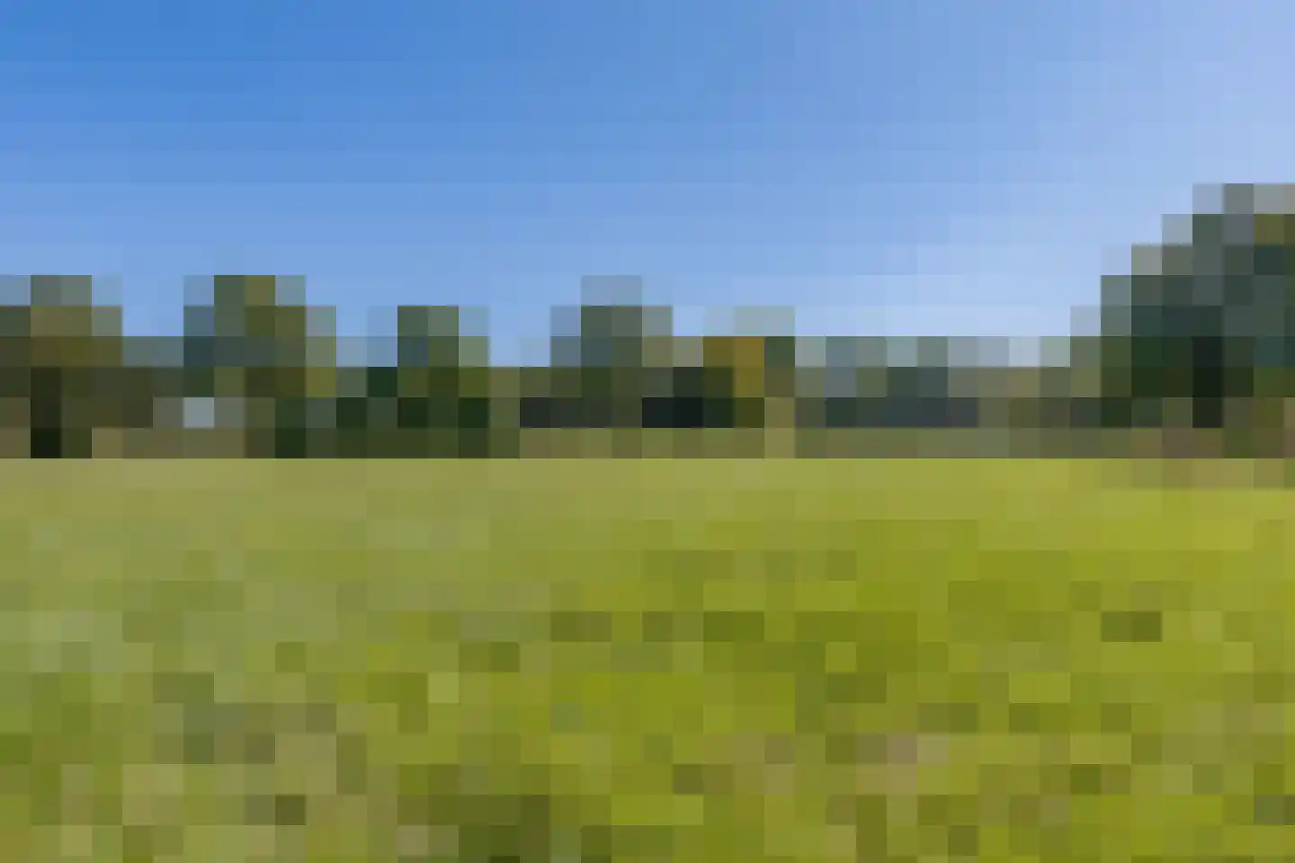 Toldijk 14 Silvolde thumbnail 65