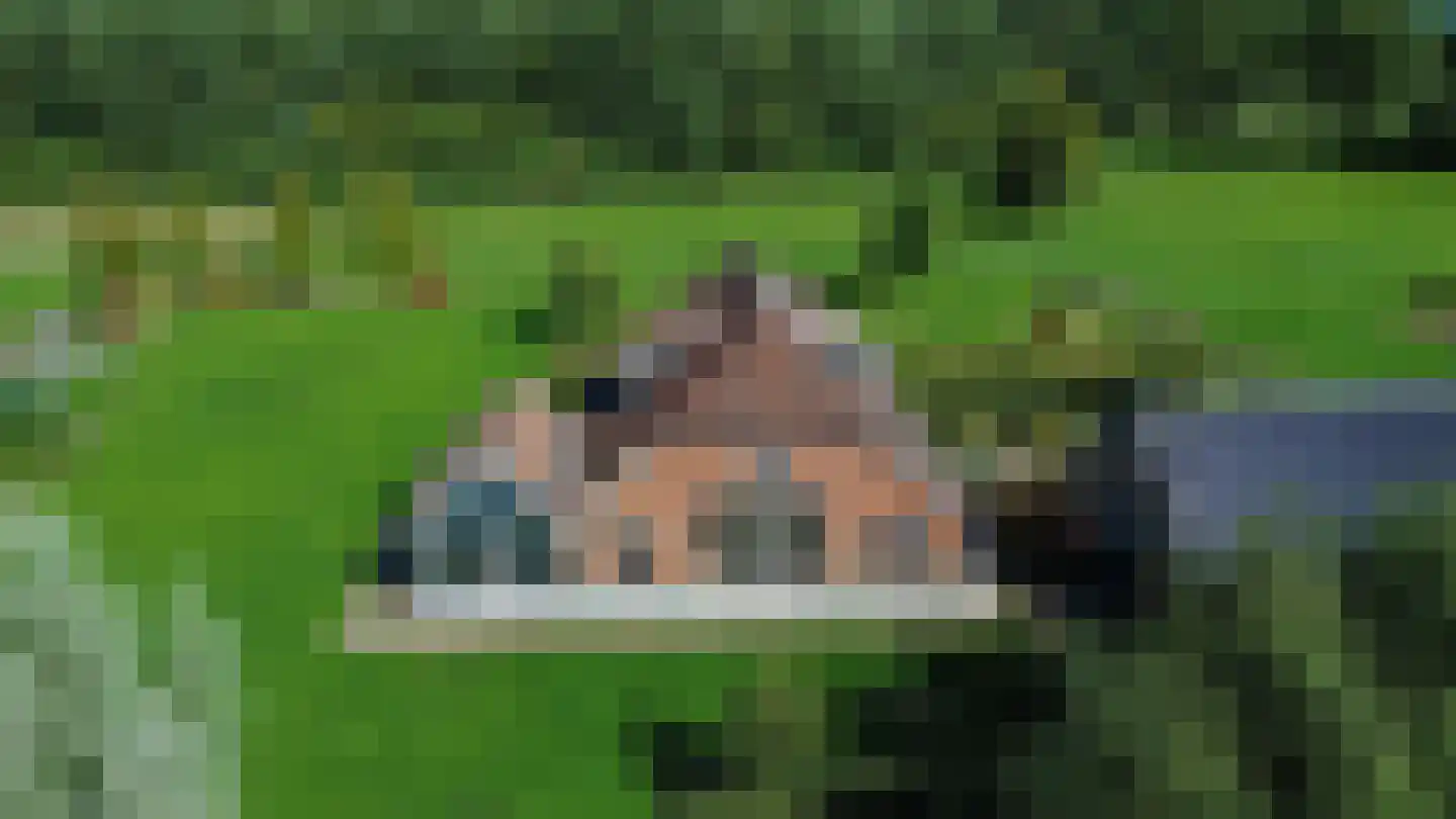 Toldijk 14 Silvolde thumbnail 75