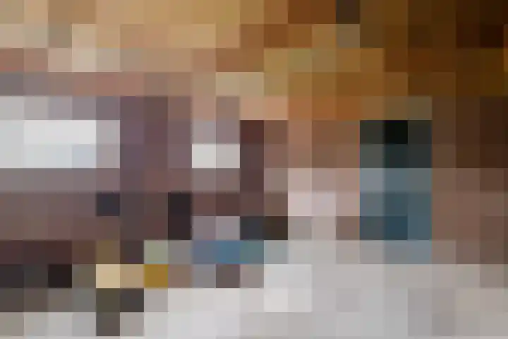 Toldijk 15 Hoogeveen thumbnail 33