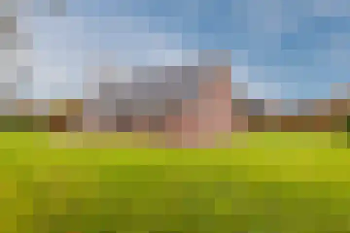 Toldijk 15 Hoogeveen thumbnail 35