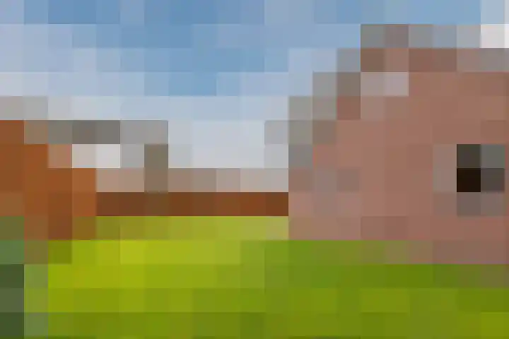 Toldijk 15 Hoogeveen thumbnail 37
