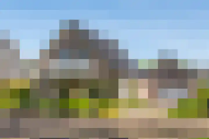 Toldijk 23 Zwinderen