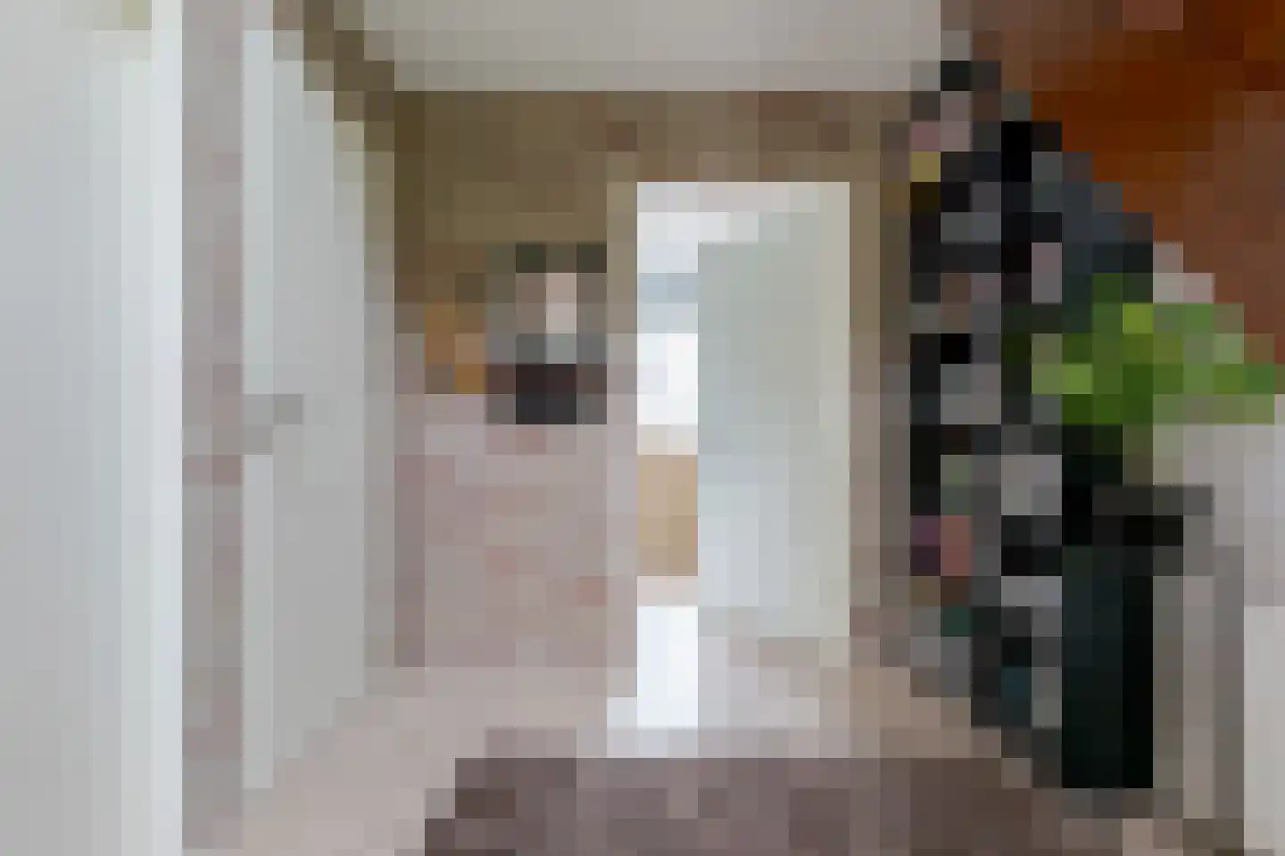 Toldijk 23 Zwinderen thumbnail 11