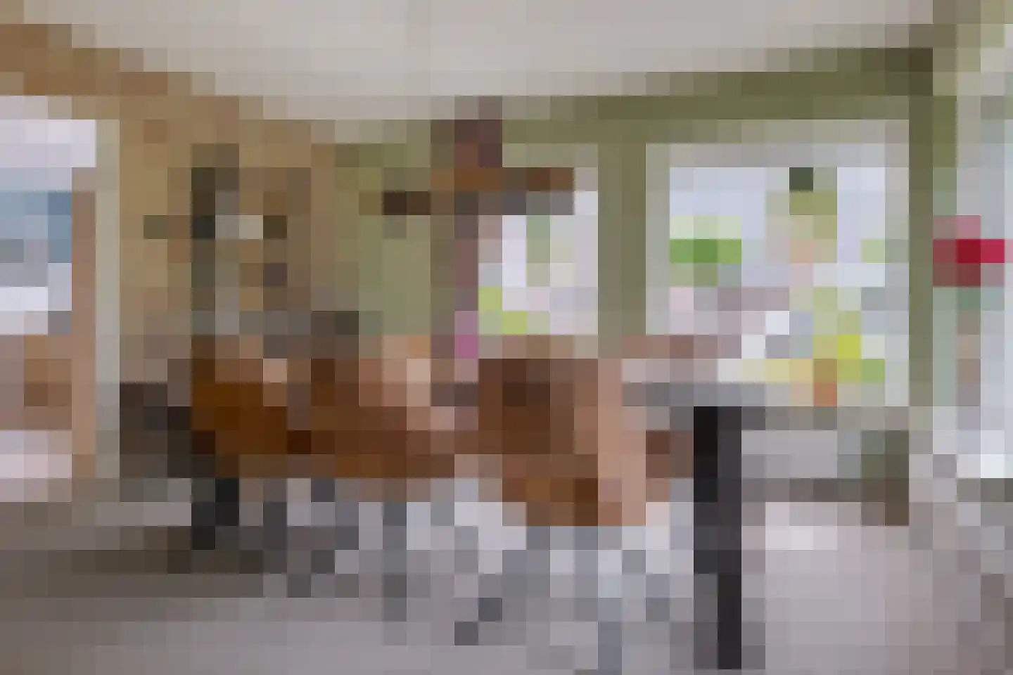 Toldijk 23 Zwinderen thumbnail 20