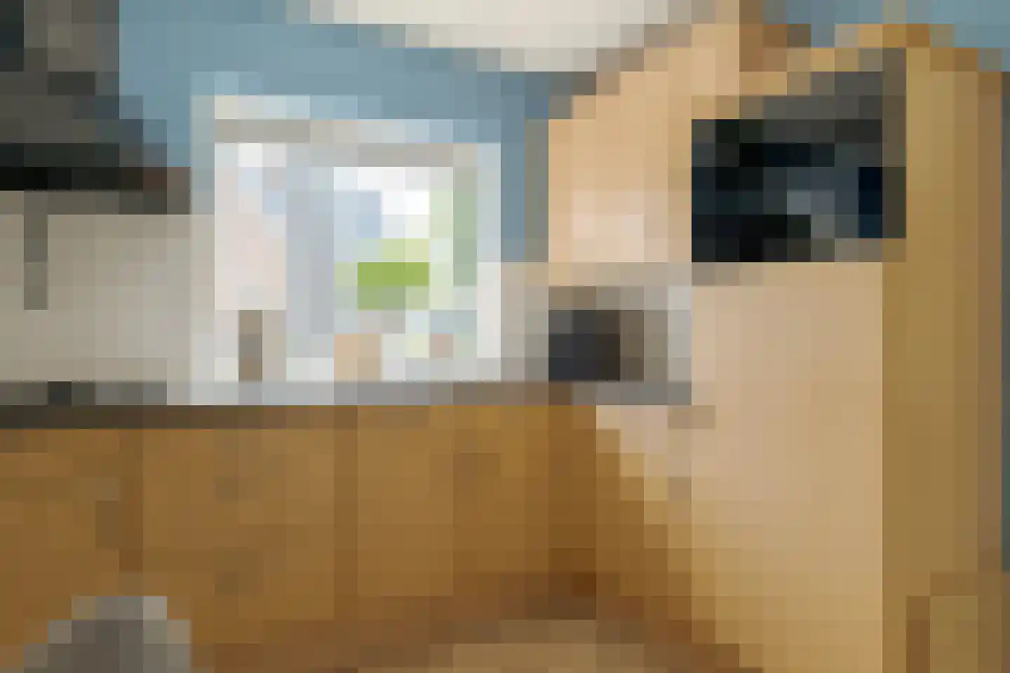 Toldijk 23 Zwinderen thumbnail 24