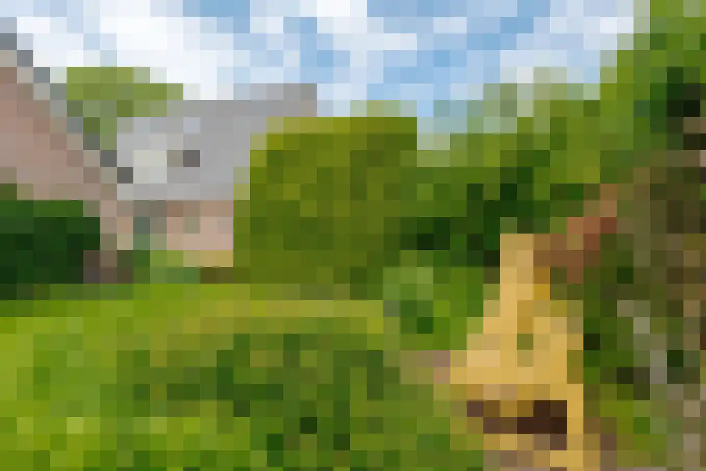 Toldijk 23 Zwinderen thumbnail 34