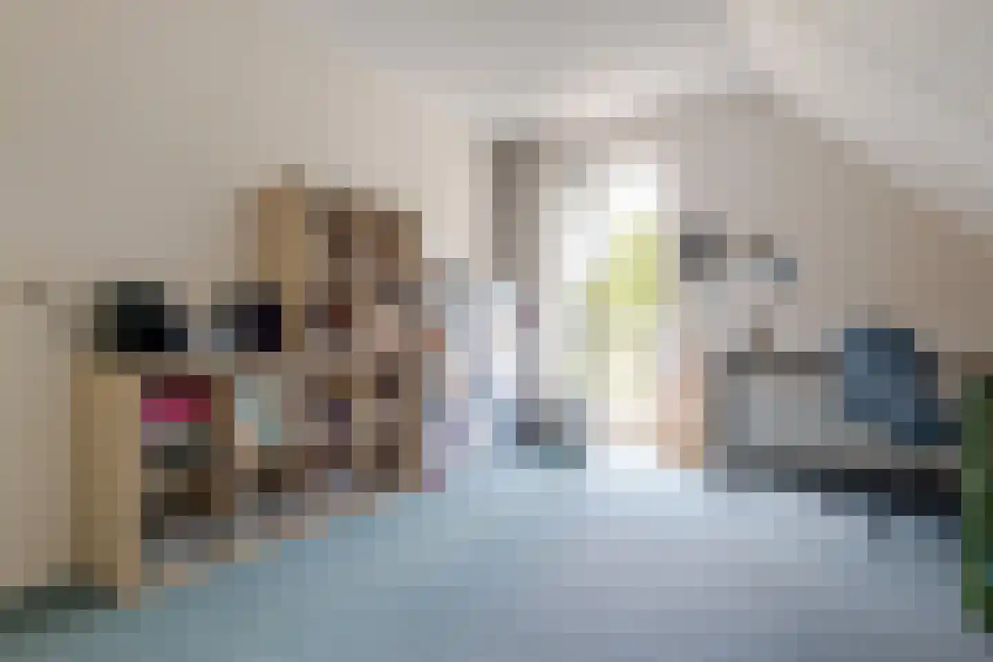 Toldijk 23 Zwinderen thumbnail 49