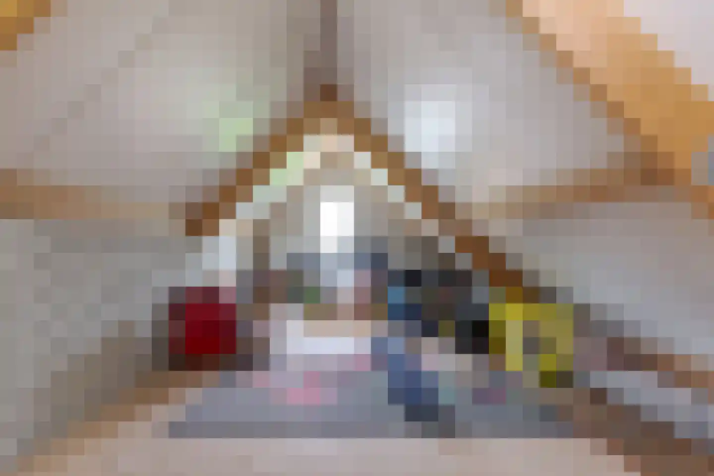 Toldijk 23 Zwinderen thumbnail 58