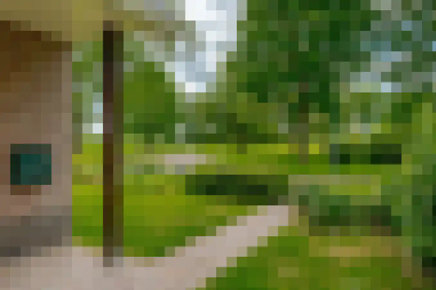 Toldijk 23 Zwinderen thumbnail 7