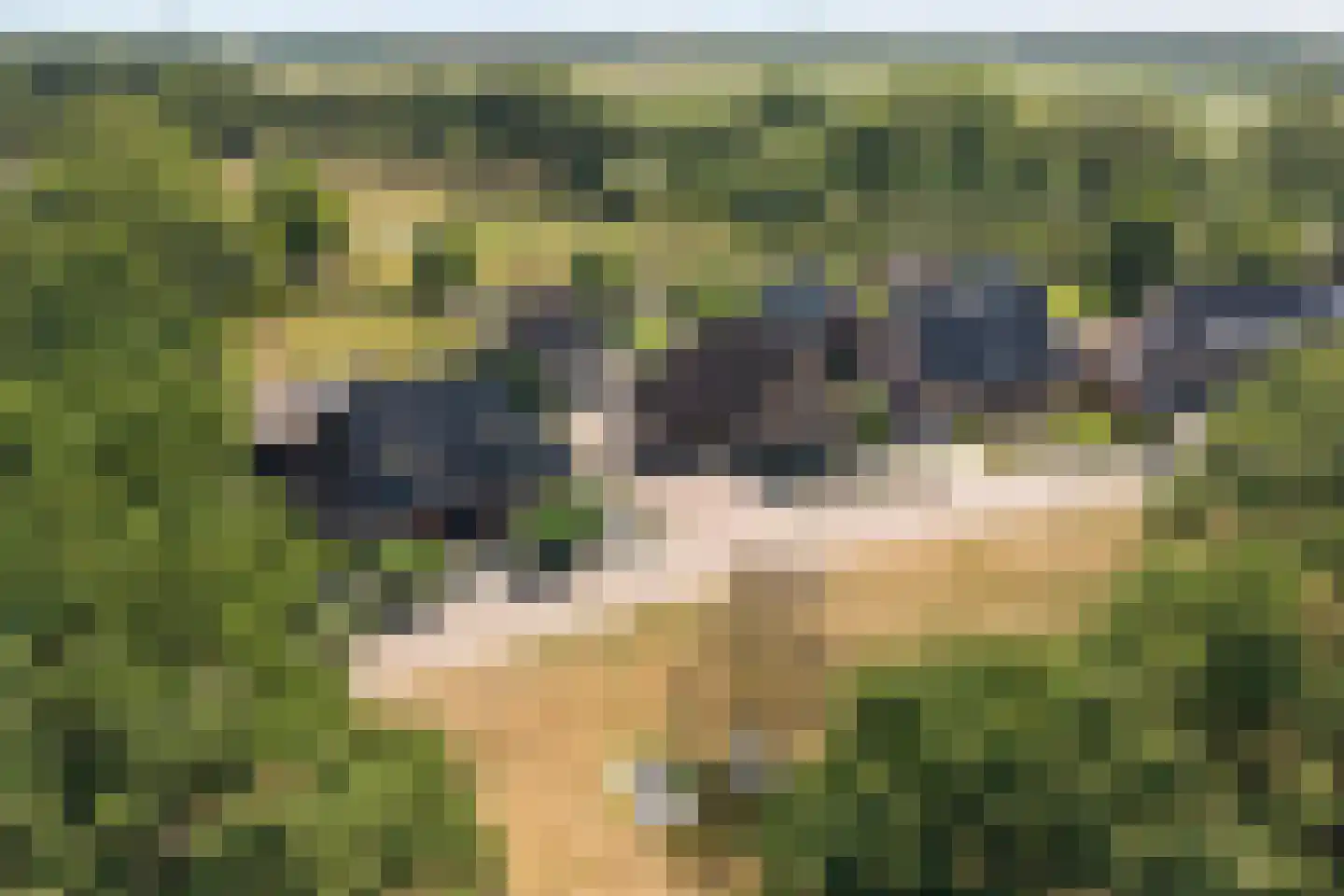 Toldijk 27 Zwinderen thumbnail 5