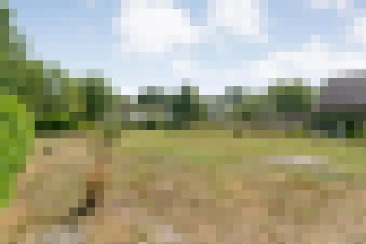 Toldijk 27 Zwinderen thumbnail 54