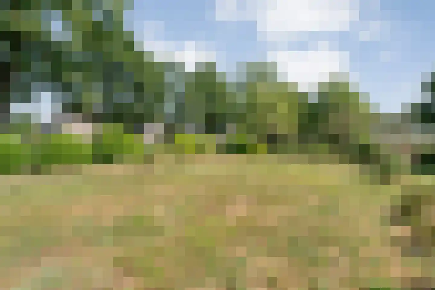 Toldijk 27 Zwinderen thumbnail 55