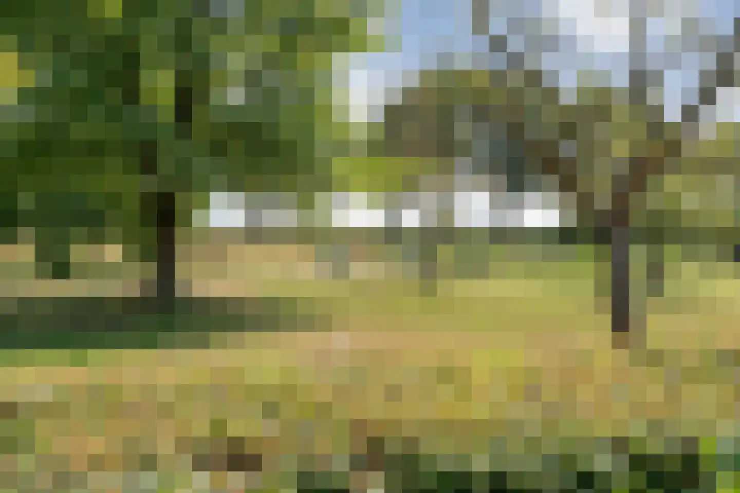 Toldijk 27 Zwinderen thumbnail 57