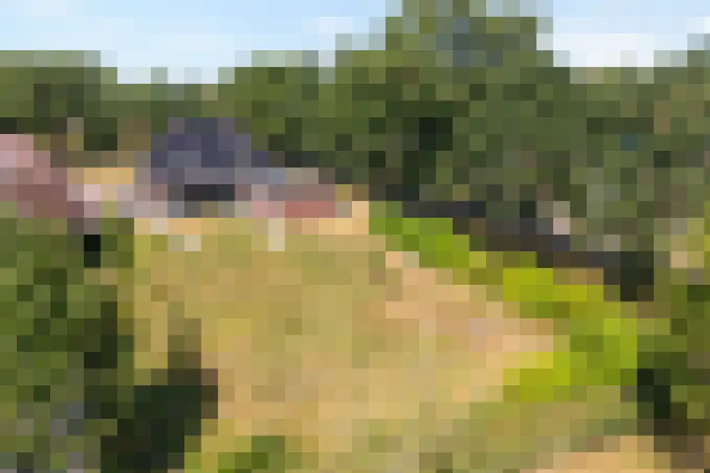 Toldijk 27 Zwinderen thumbnail 58