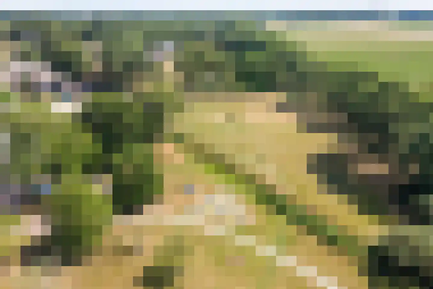 Toldijk 27 Zwinderen thumbnail 59