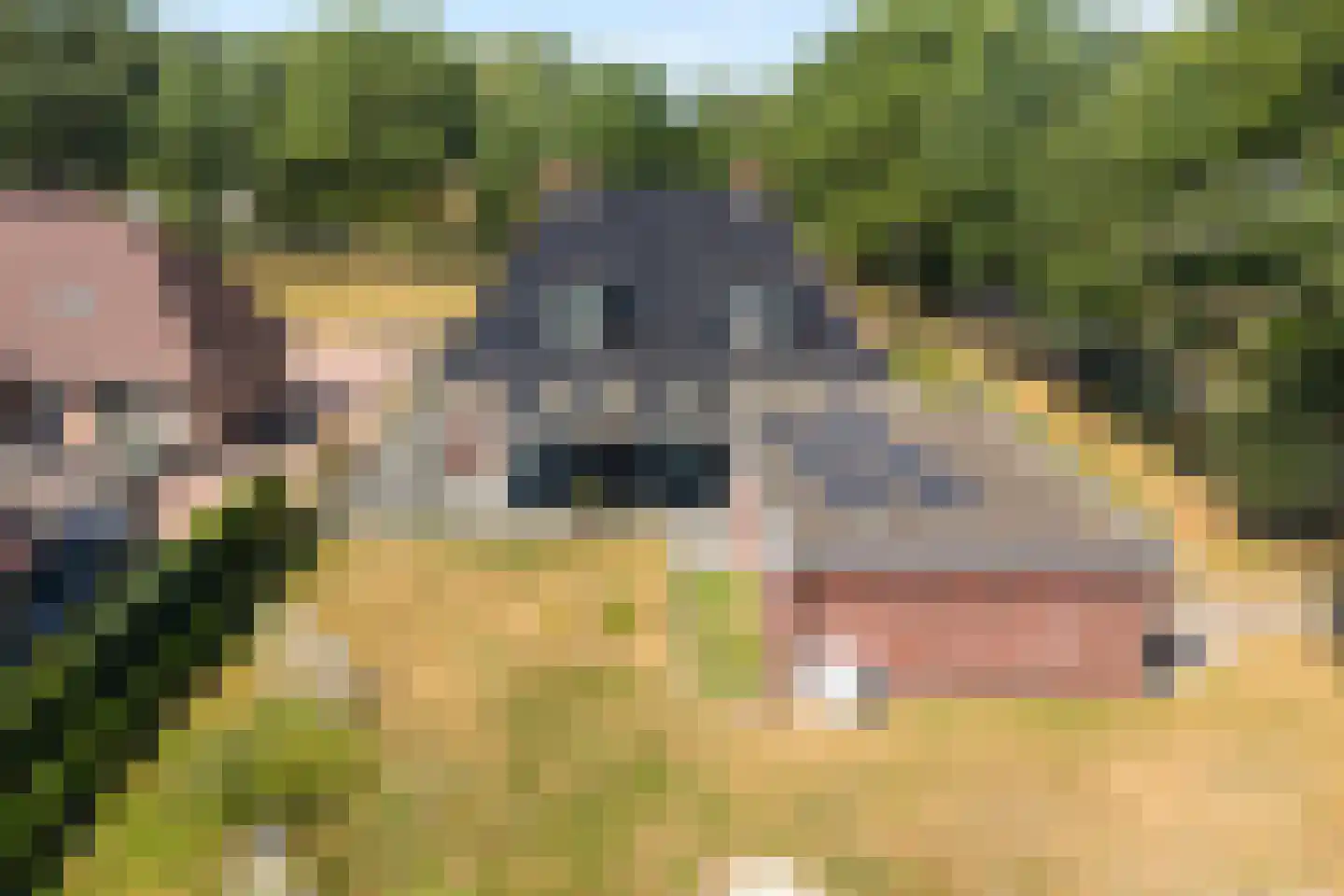 Toldijk 27 Zwinderen thumbnail 60