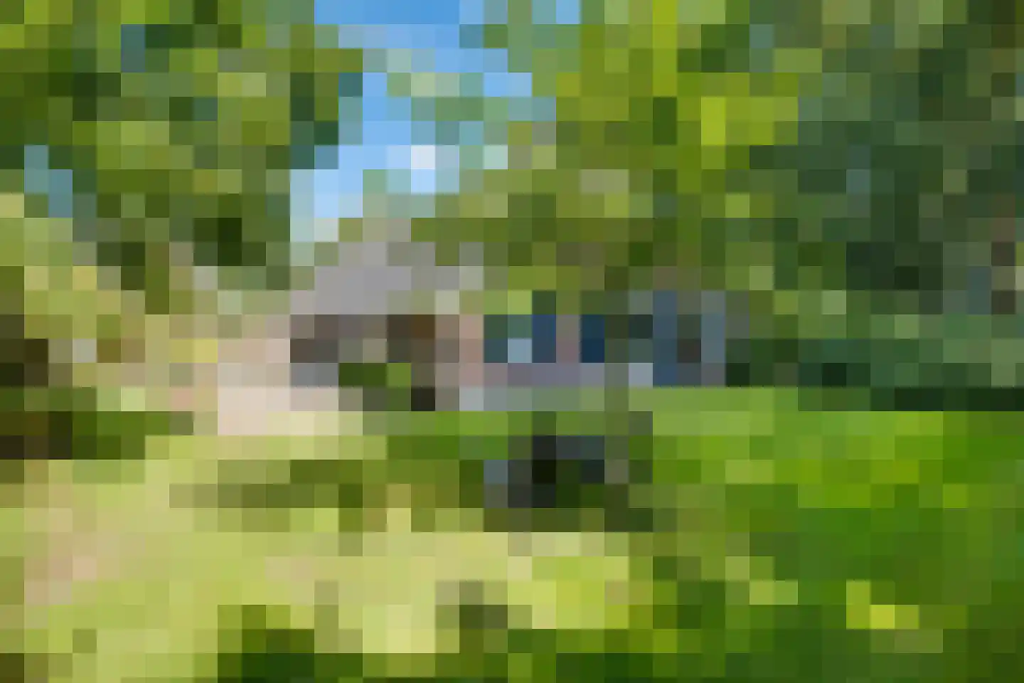 Toldijk 3 Laren thumbnail 34