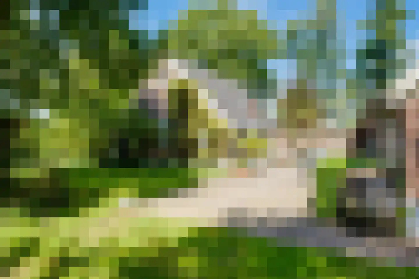 Toldijk 3 Laren thumbnail 36