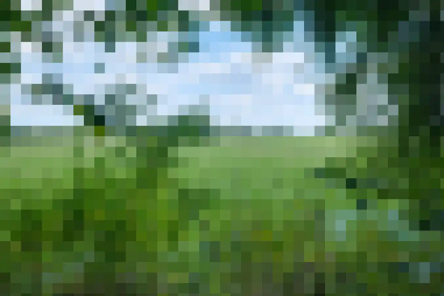 Toldijk 3 Laren thumbnail 5