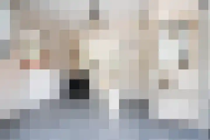 Toldijk 4 Hoogeveen thumbnail 10