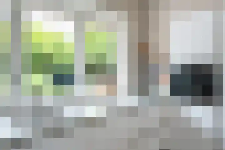 Toldijk 4 Hoogeveen thumbnail 16