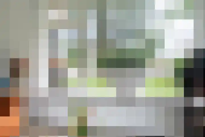 Toldijk 4 Hoogeveen thumbnail 21