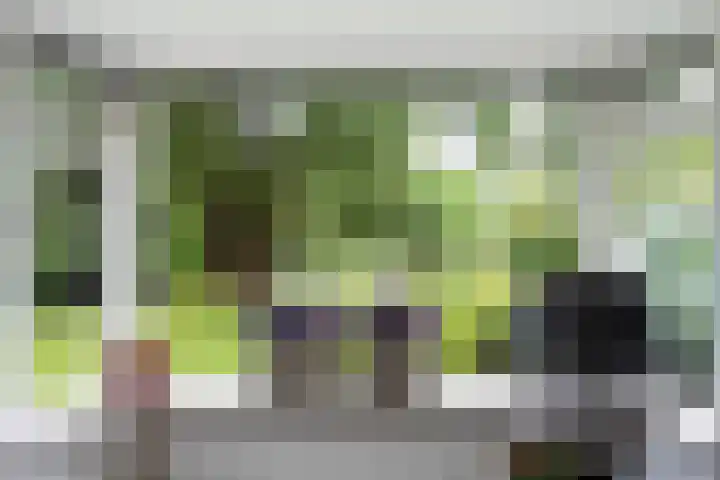 Toldijk 4 Hoogeveen thumbnail 22