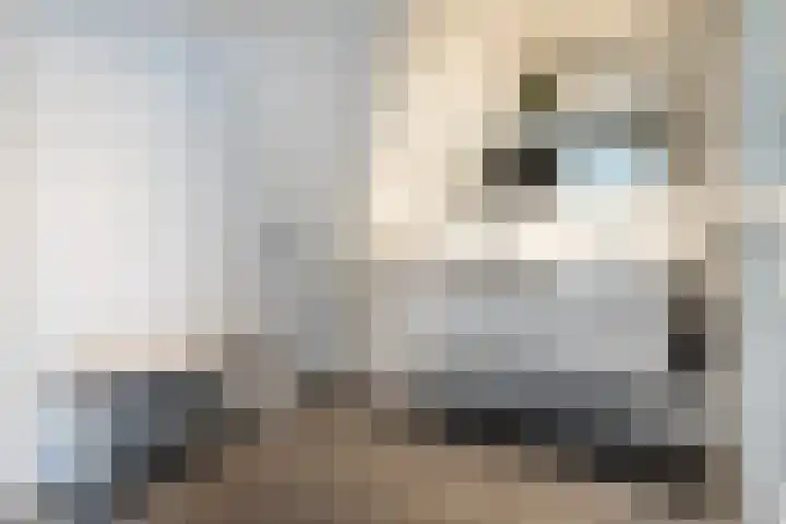 Toldijk 4 Hoogeveen thumbnail 31