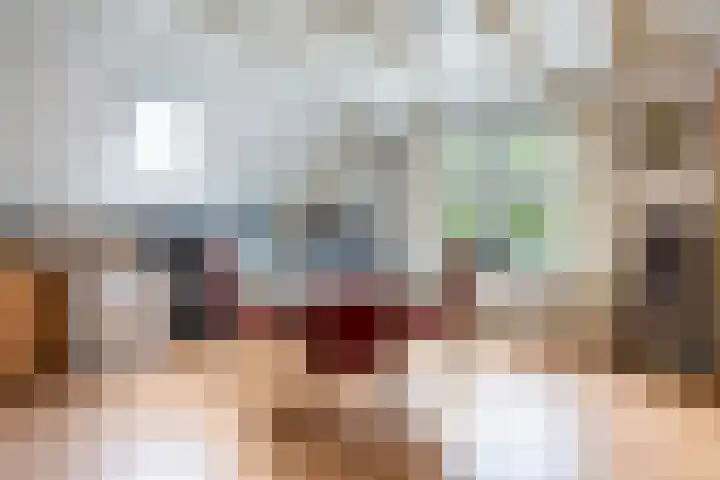 Toldijk 4 Hoogeveen thumbnail 36