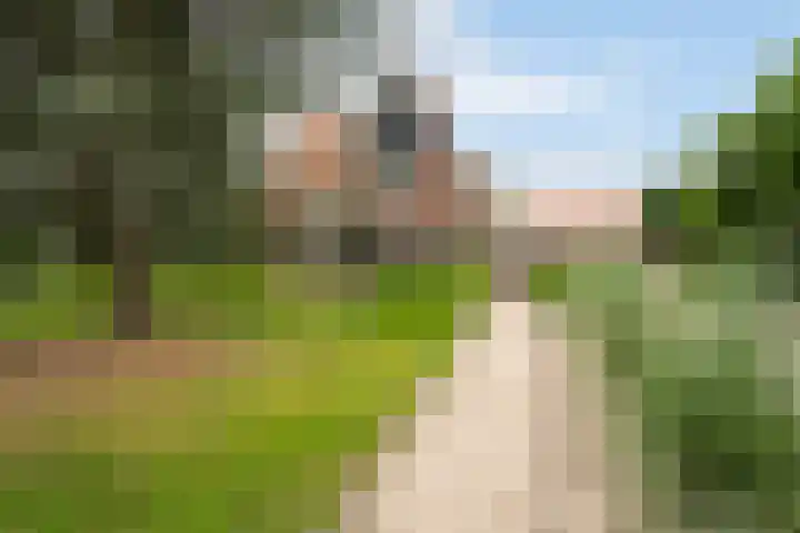 Toldijk 4 Hoogeveen thumbnail 39