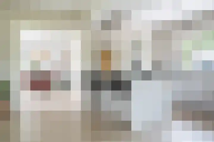Toldijk 4 Hoogeveen thumbnail 4