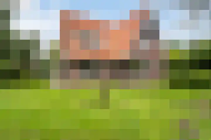 Toldijk 4 Hoogeveen thumbnail 40