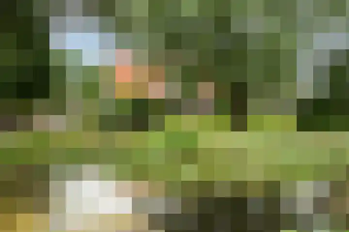 Toldijk 4 Hoogeveen thumbnail 41
