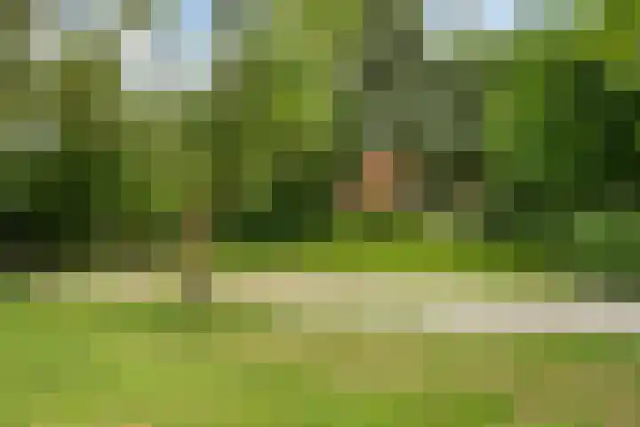 Toldijk 4 Hoogeveen thumbnail 42