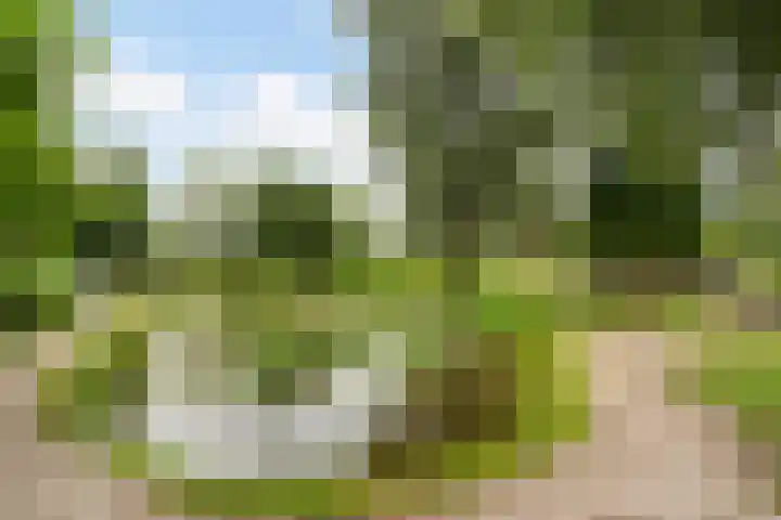 Toldijk 4 Hoogeveen thumbnail 43