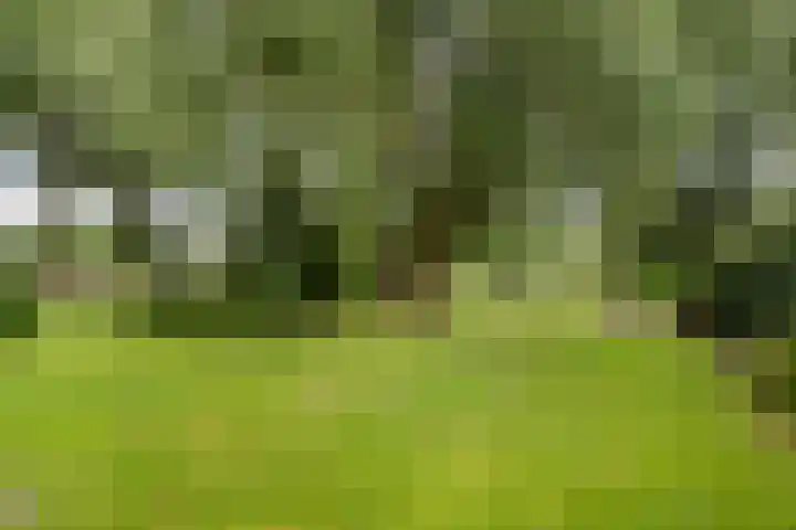 Toldijk 4 Hoogeveen thumbnail 44