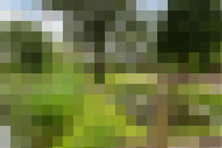Toldijk 4 Hoogeveen thumbnail 46