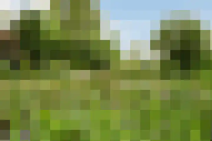 Toldijk 4 Hoogeveen thumbnail 47