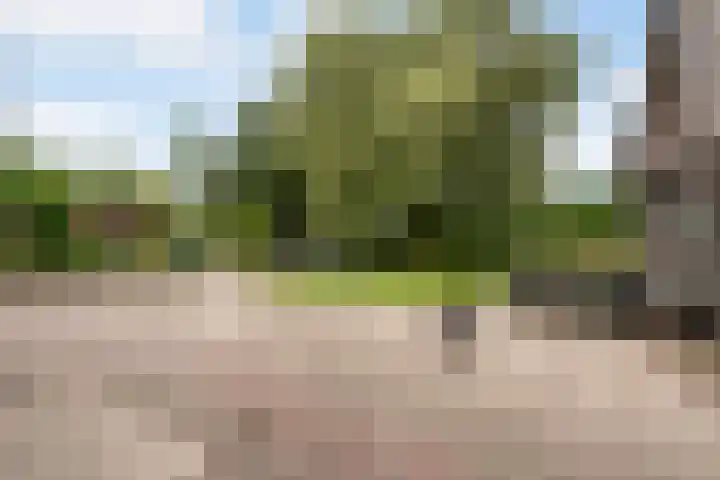 Toldijk 4 Hoogeveen thumbnail 48
