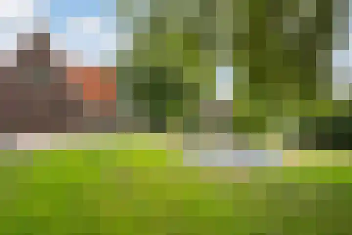 Toldijk 4 Hoogeveen thumbnail 49