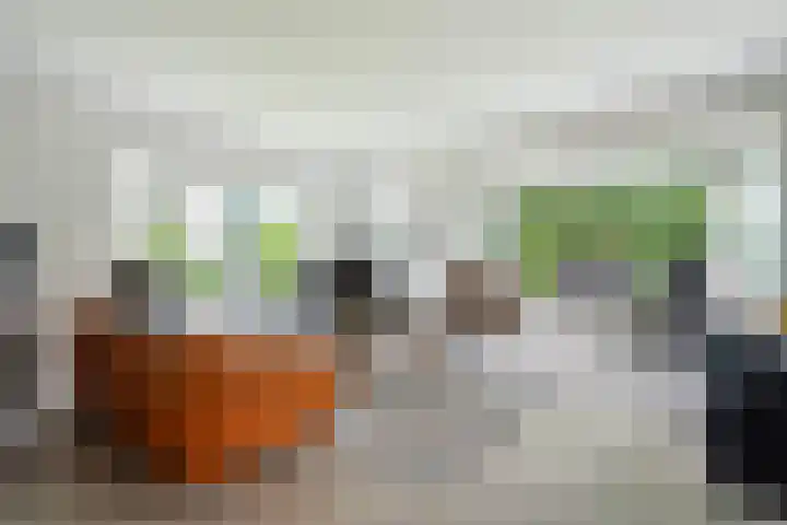 Toldijk 4 Hoogeveen thumbnail 5