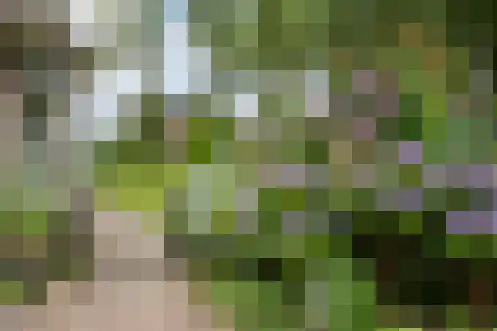 Toldijk 4 Hoogeveen thumbnail 51