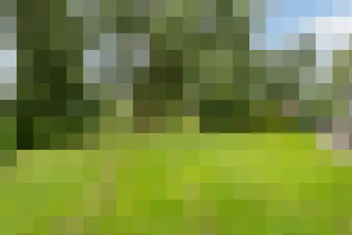 Toldijk 4 Hoogeveen thumbnail 53