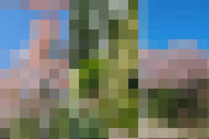Toldijk 4 Hoogeveen thumbnail 54